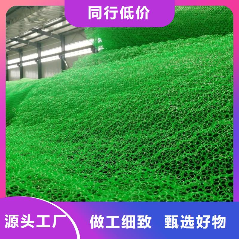 扬州三维植被网边坡复绿
