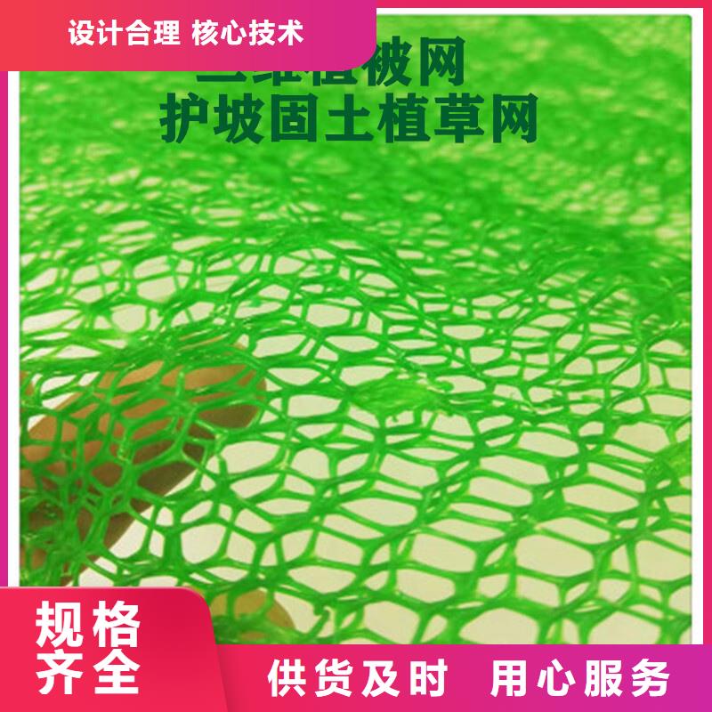 扬州三维植被网价格-生产厂家