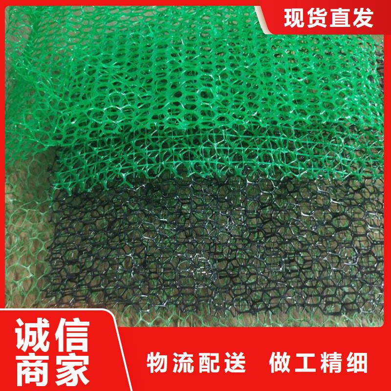 桂林三维土工网垫工厂价