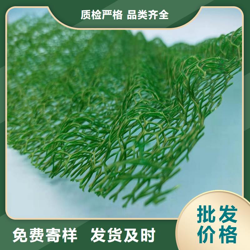 广州三维植被网 广州护坡土工网厂家