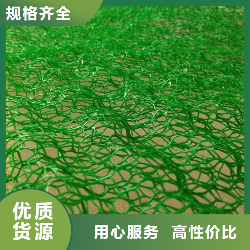 三维植被网三维土工网垫种类丰富