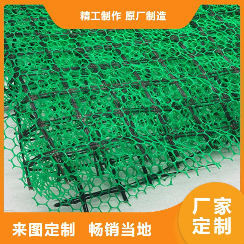 芜湖三维土工网垫有限公司-批发生产