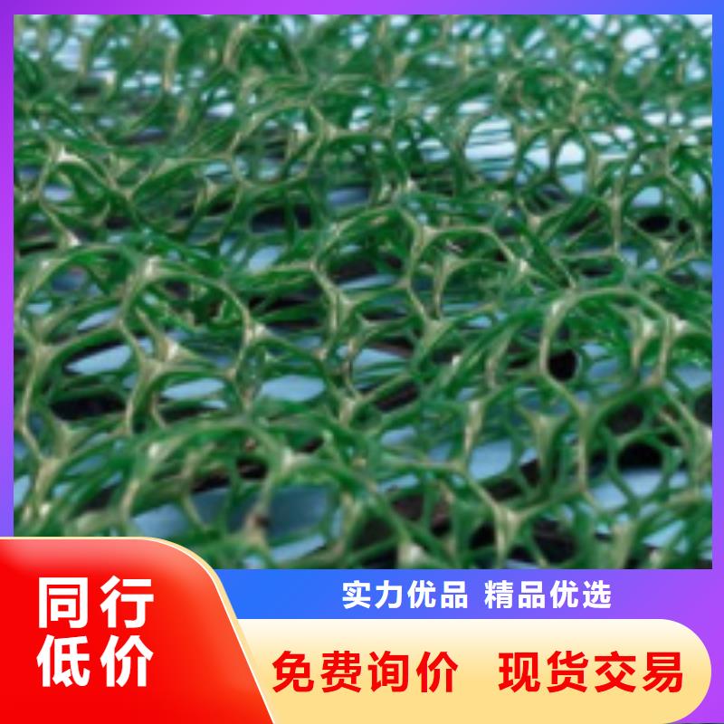 台州三维植被网哪里能买
