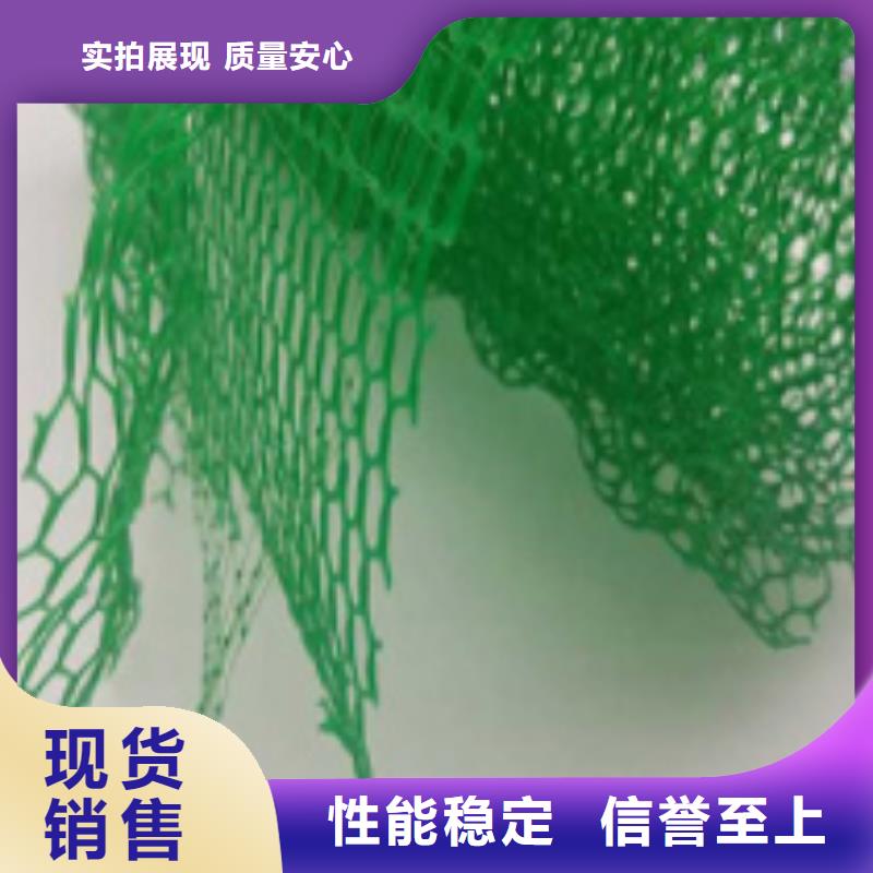 淄博三维植被网厂家供应边坡复绿