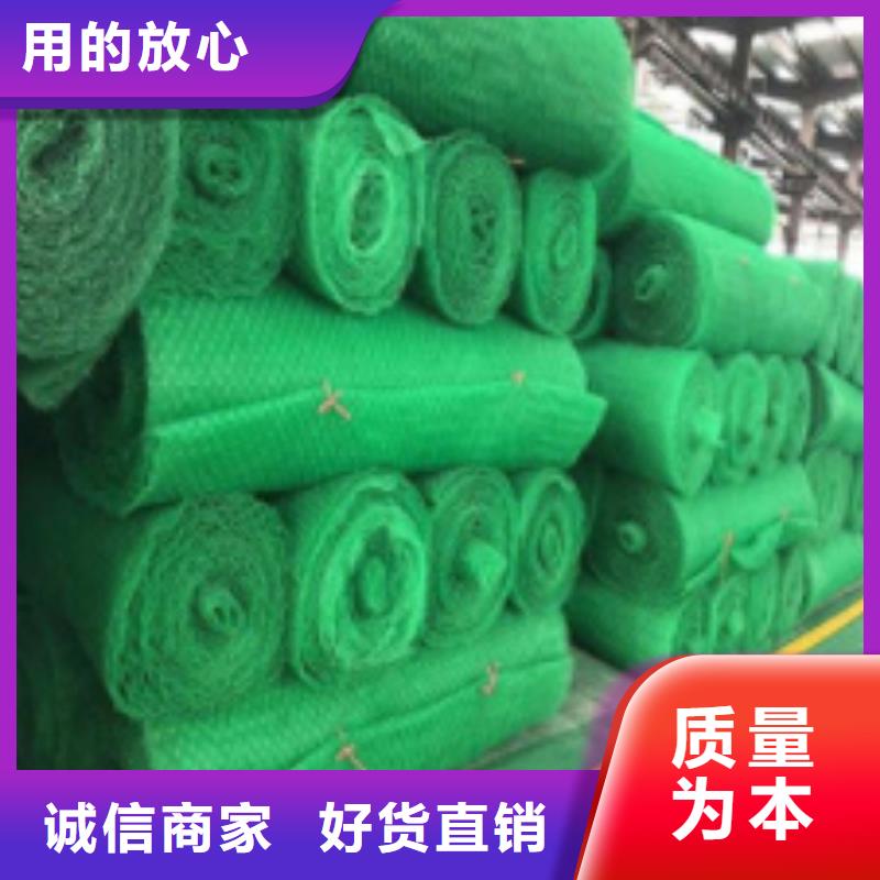 郑州三维土工网垫生产工厂-现价