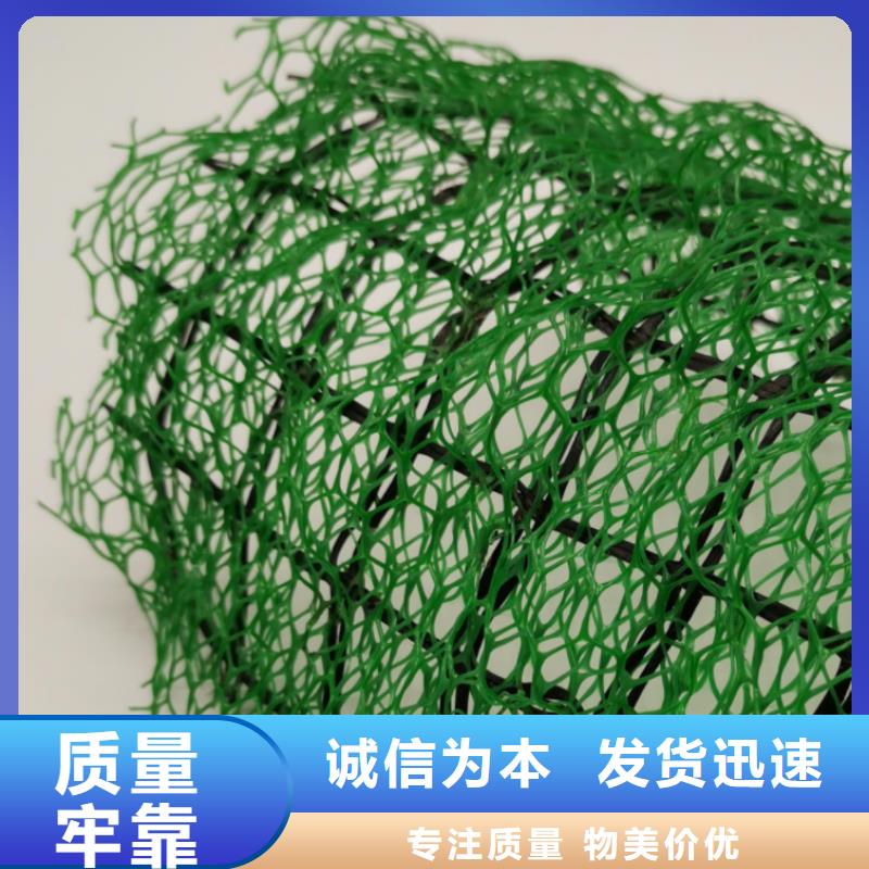 郑州三维植被网价格