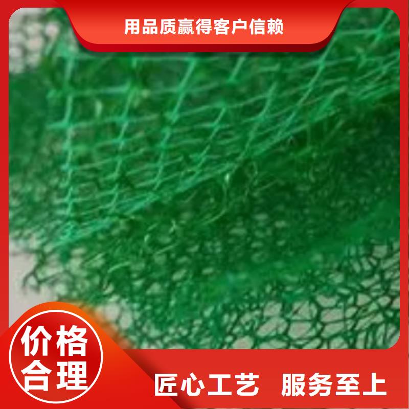 台湾三维植被网型号