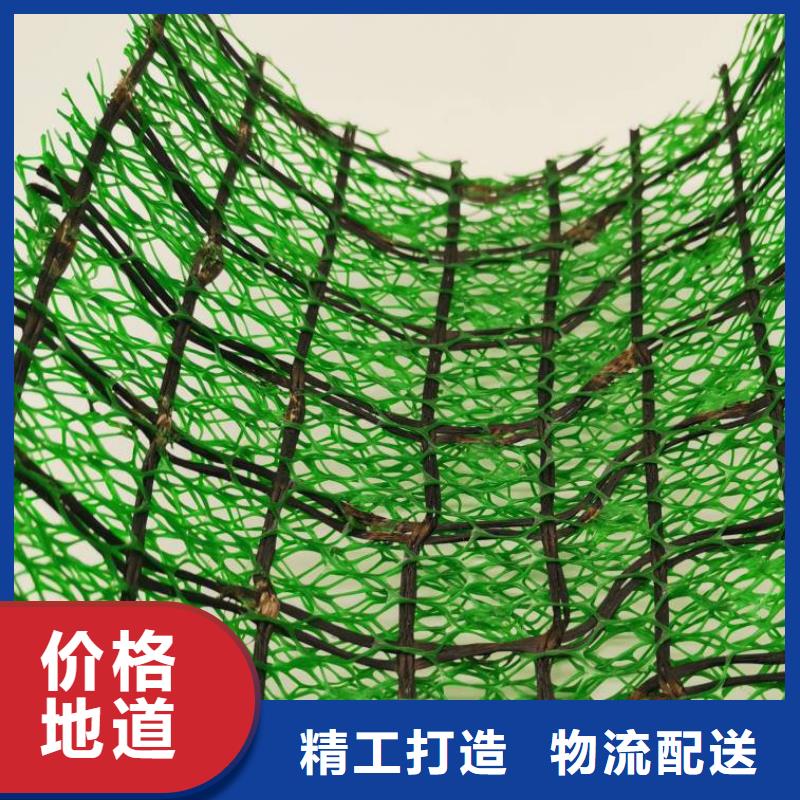 滁州三维植被网型号