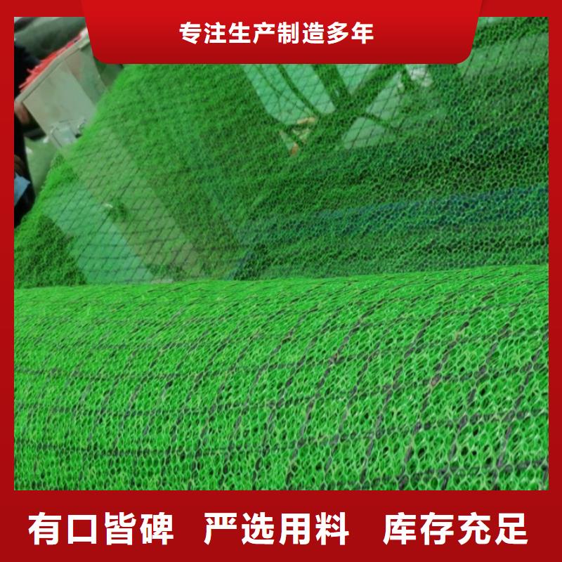 江苏三维植被网作用#厂家包施工
