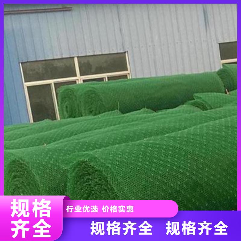 三维土工网垫工厂价多种工艺