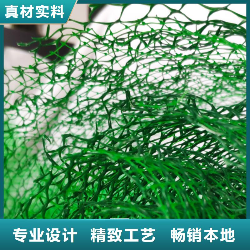 漳州三维植被网边坡复绿