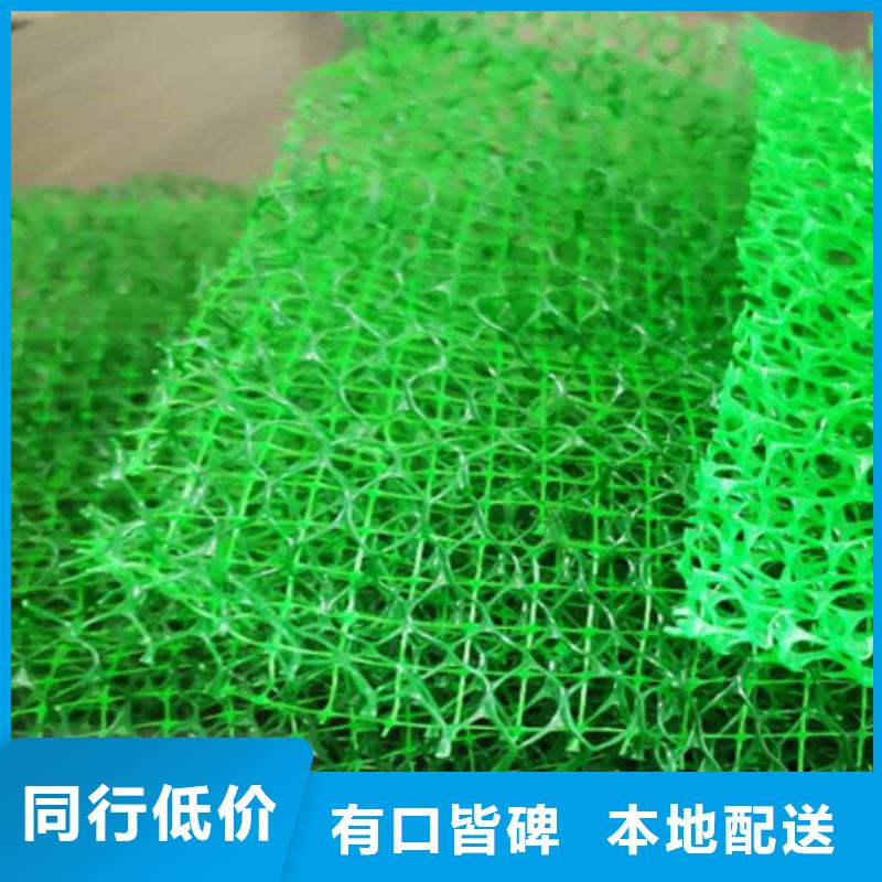 锦州三维植被网型号全-新品发售