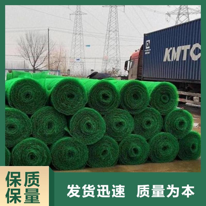 九江三维土工网垫边坡复绿