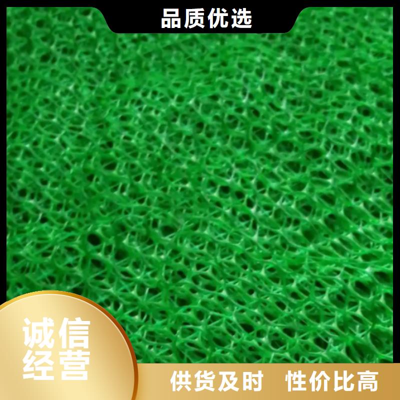 安徽三维植被网排水板厂家采购