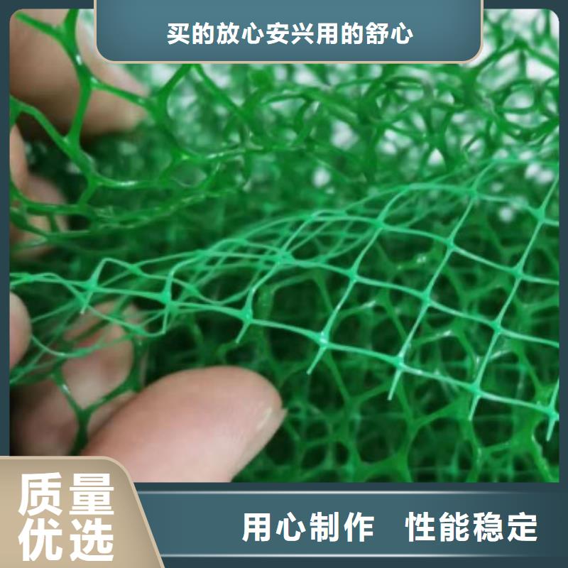 三维植被网厂家定制价严选材质