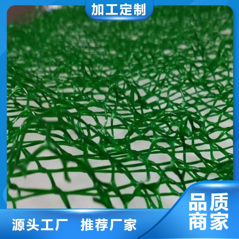 北京三维植被网水泥化粪池用心服务