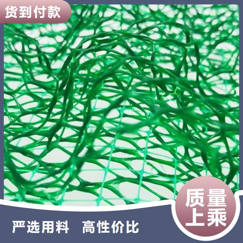 重庆三维植被网哪里有