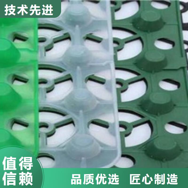 莱芜凹凸型塑料排蓄水板-新型产品