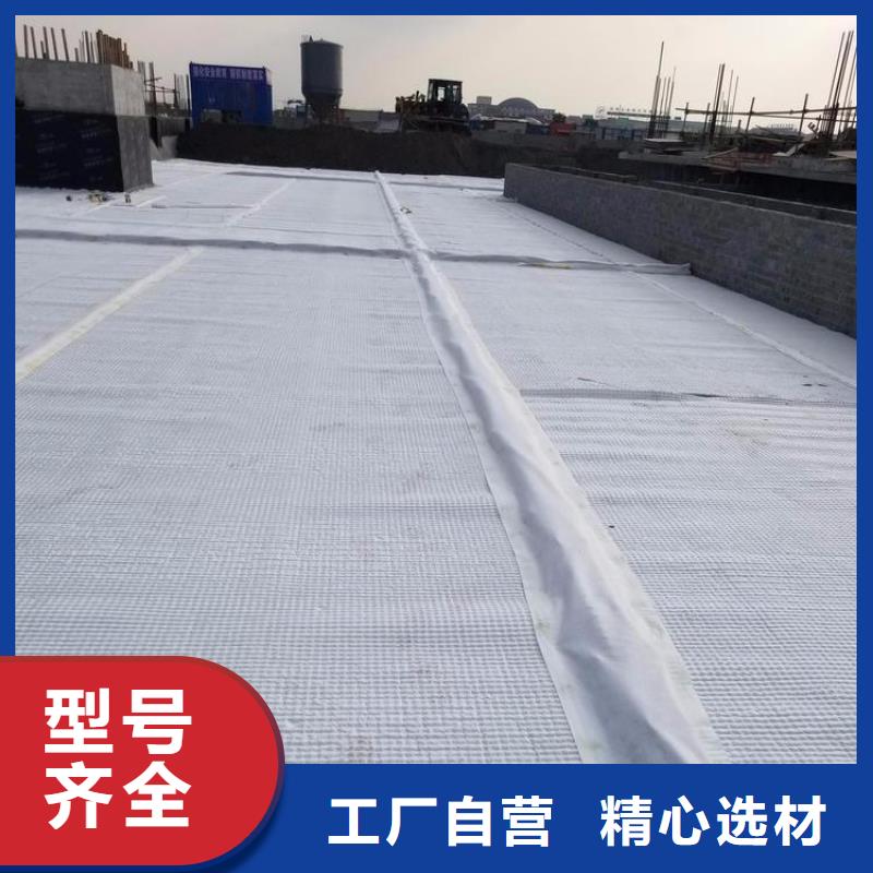天津【排水板】塑料排水板量大从优