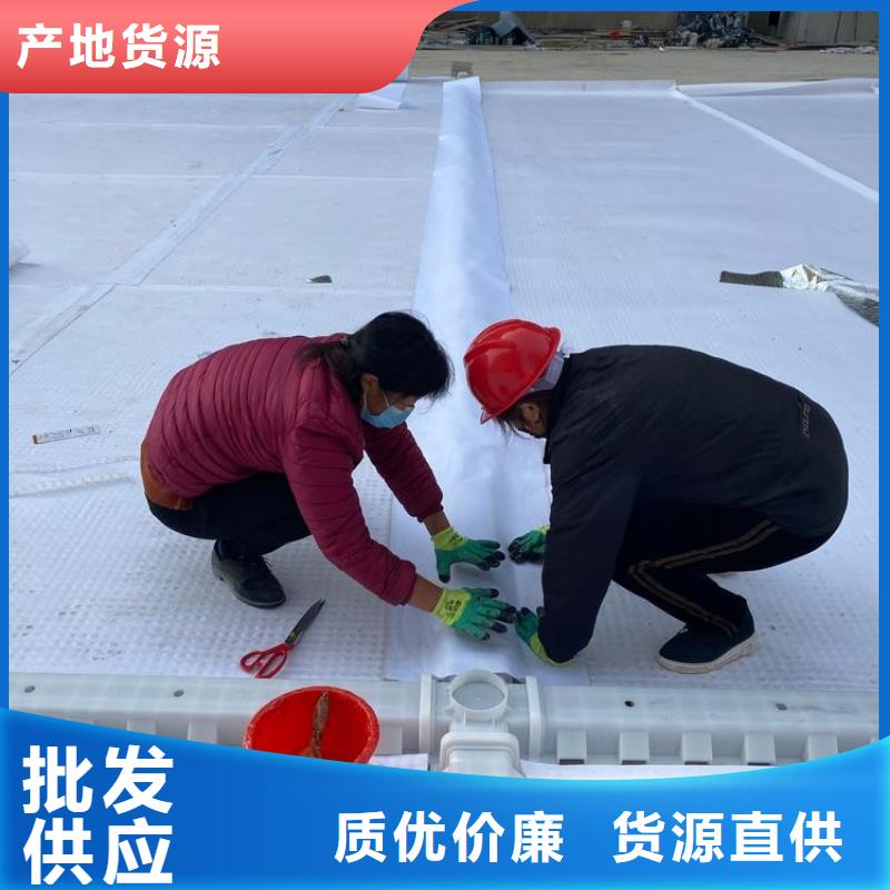 新闻：芜湖25厚塑料透水疏水板—价格资讯