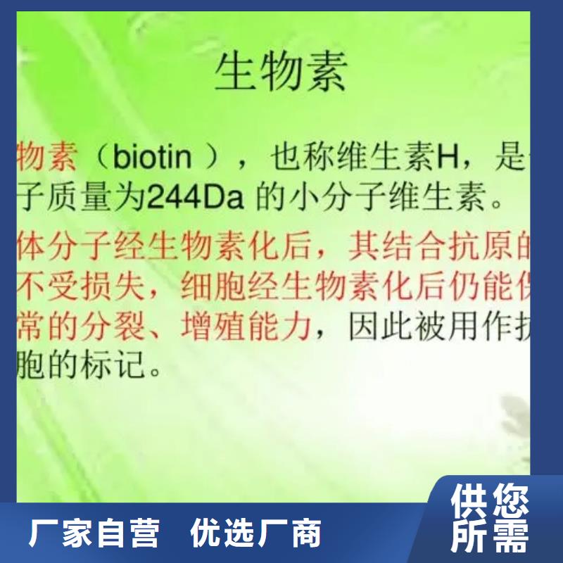 惠州D-生物素用途