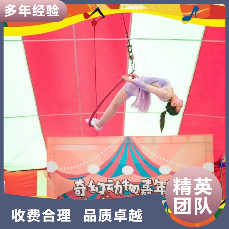 上海【马戏团/羊驼】鹦鹉表演先进的技术