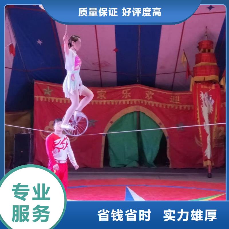 重庆周边马戏团表演租赁活动方案