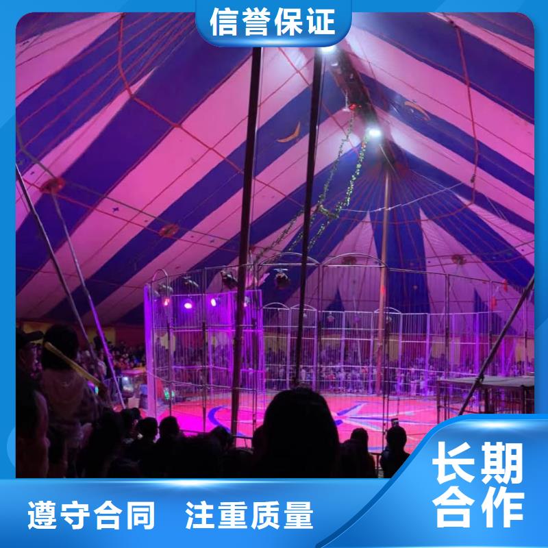 晋城马戏团表演出租活动图片