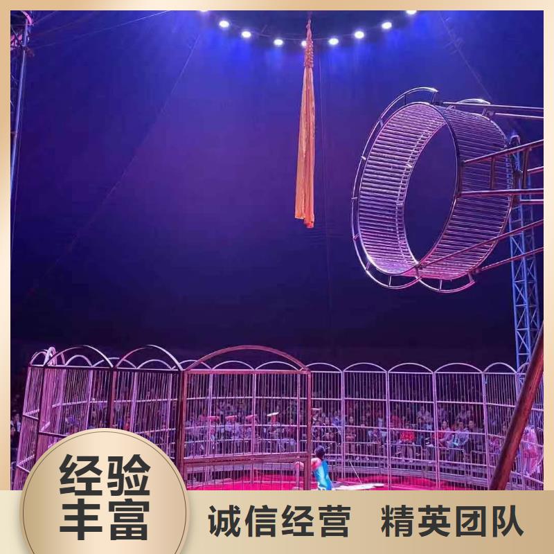 台湾哪有出租马戏团表演的活动图片
