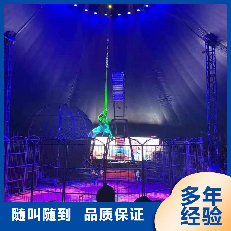 湖北马戏团/羊驼海狮表演出租质量保证