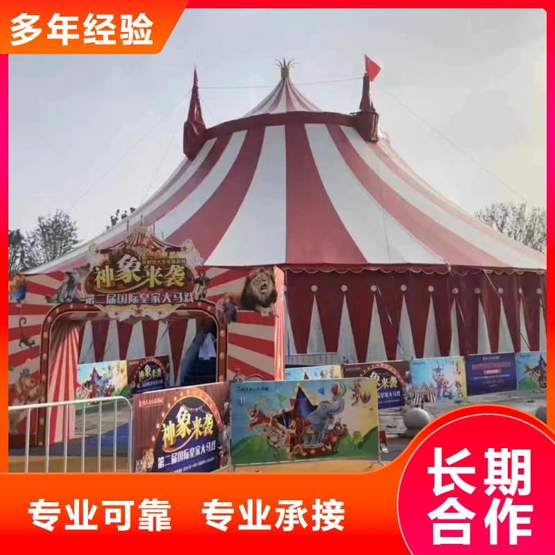 浙江【马戏团/羊驼】海狮表演出租品质保证