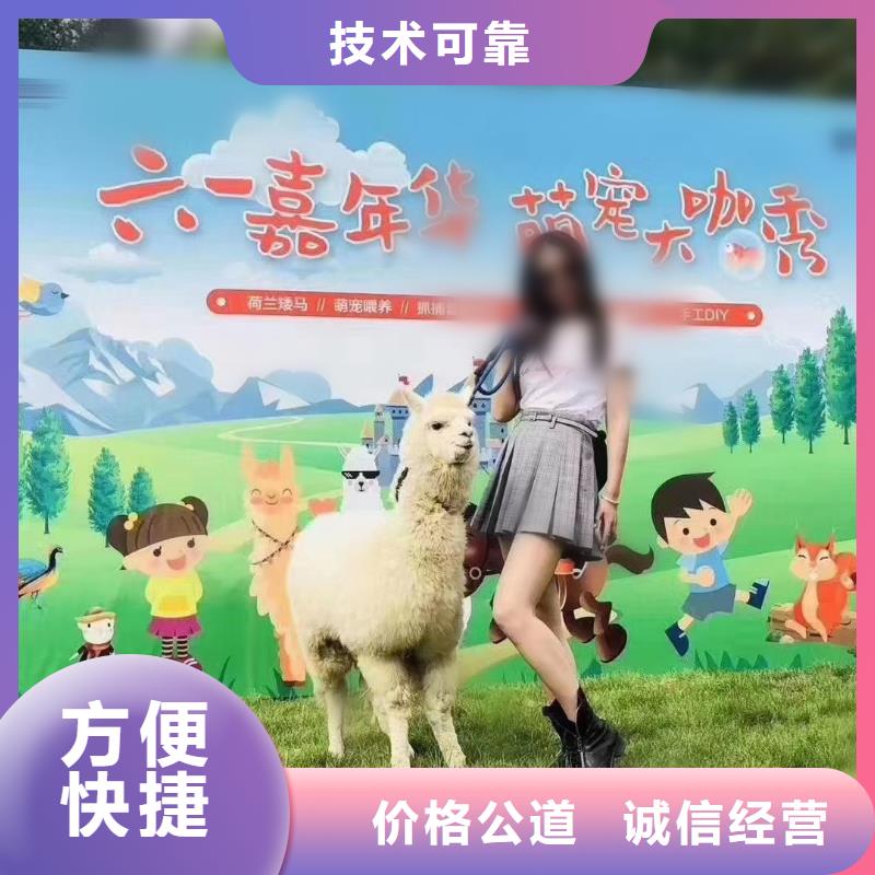 台湾动物表演出租庆典活动