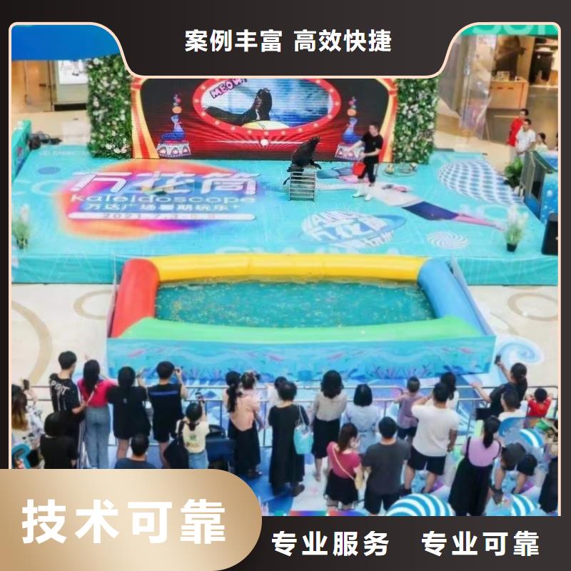 香港海洋主题动物表演海狮表演出租价格美丽