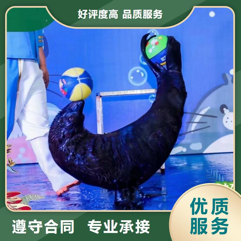 上海企鹅出租活动方案