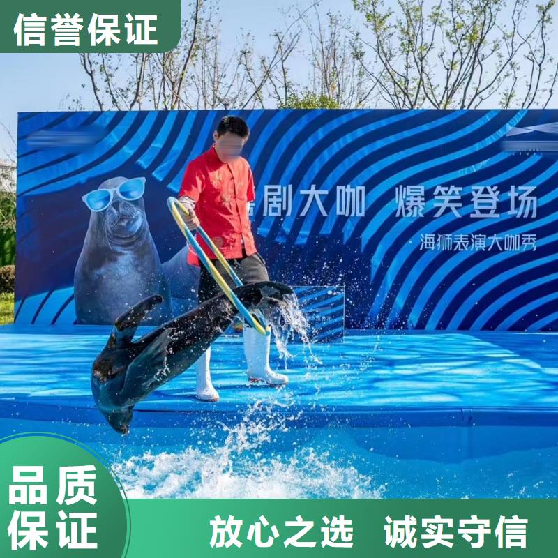 惠州哪有出租海狮表演的一手资源
