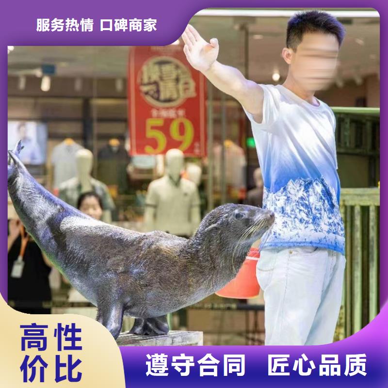 淮安哪有出租海狮表演的一手资源