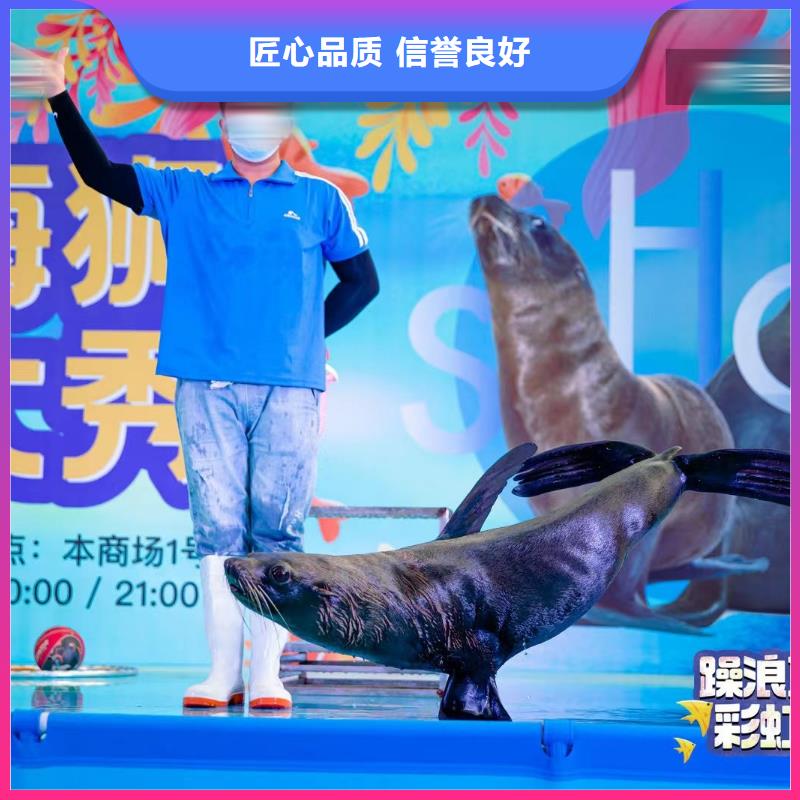荆州海洋生物鱼缸展出租暖场氛围