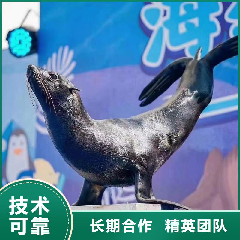 安庆哪有出租海狮表演的联系方式
