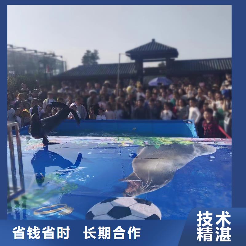 海洋展租赁徐州海洋动物
