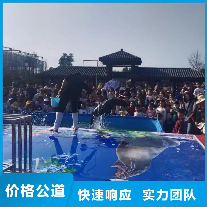 徐州海洋主题动物表演-海狮表演出租高效快捷