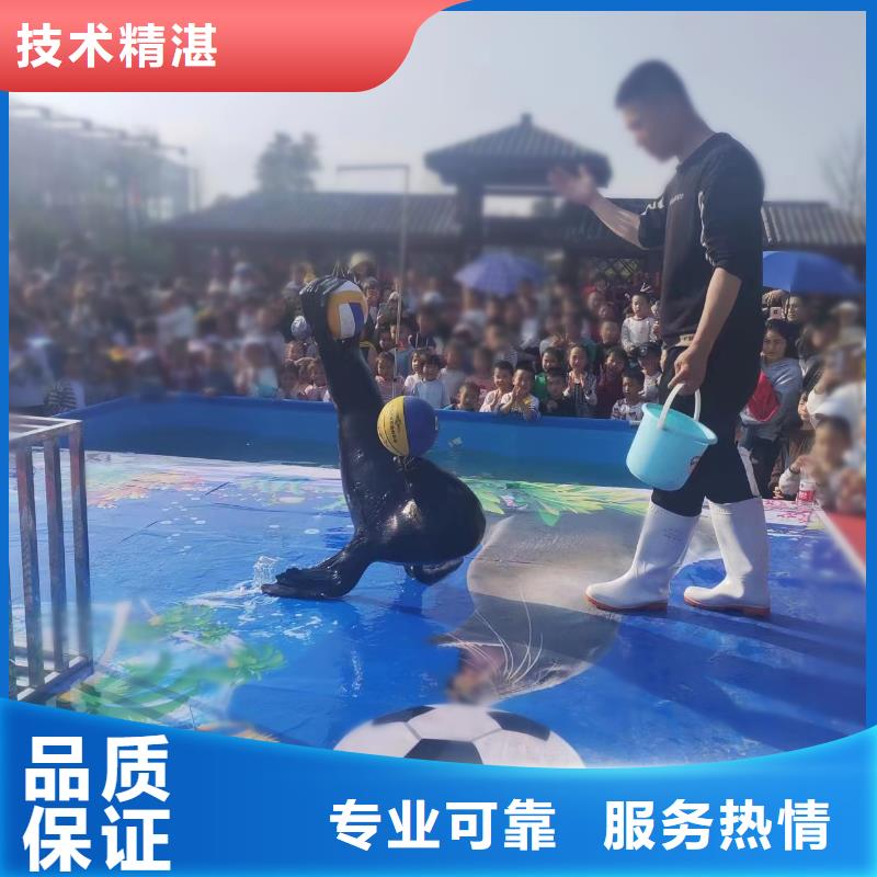 巴中海狮企鹅表演出租实力厂家