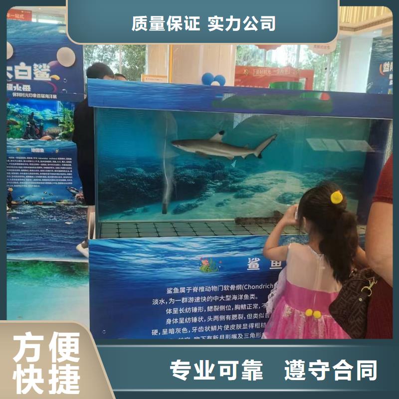浙江海洋生物展出租主题展览