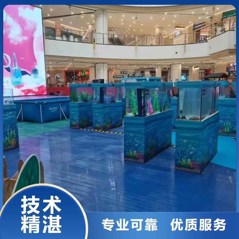 香港海狮表演出租