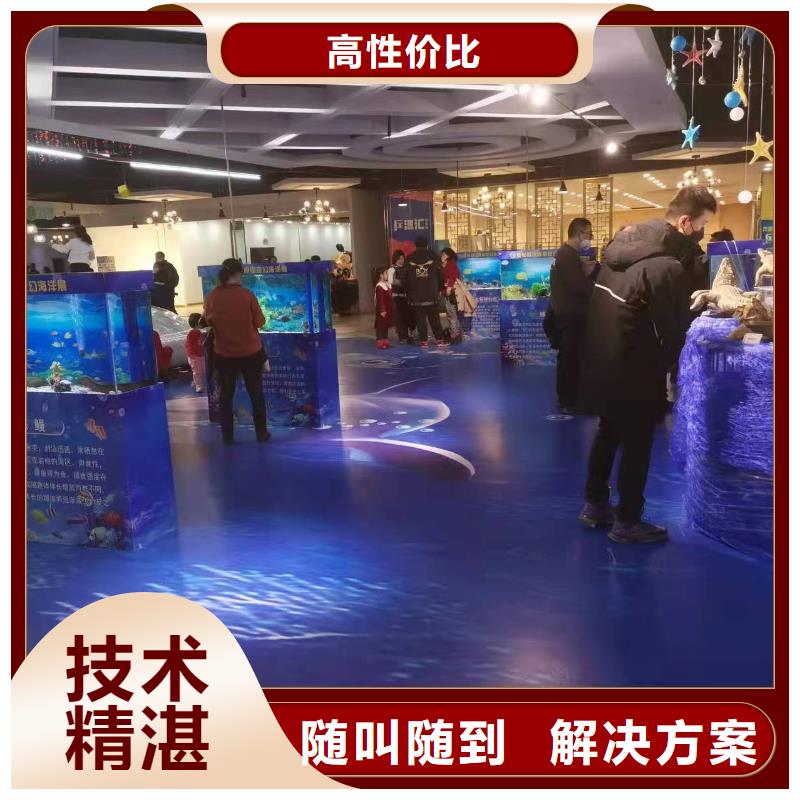 海狮表演租赁林芝图片