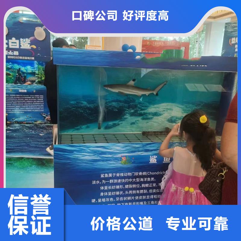 台湾重信誉海洋展出租供应厂家