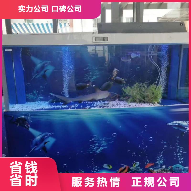 广西海狮表演出租品种多价格低