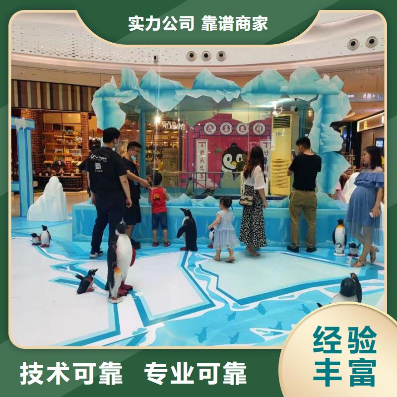 浙江海洋主题动物表演海狮表演出租高效快捷