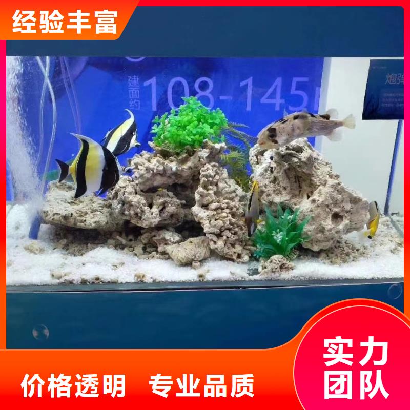 连云港海洋主题动物表演_马戏团表演专业可靠