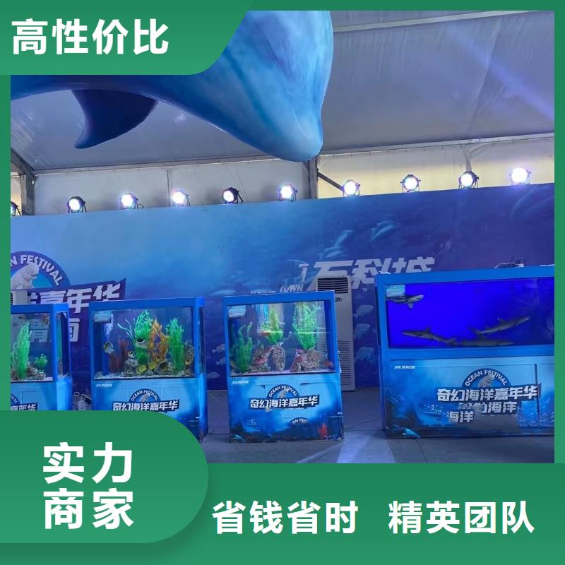 江西海洋主题动物表演-海狮表演出租知名公司