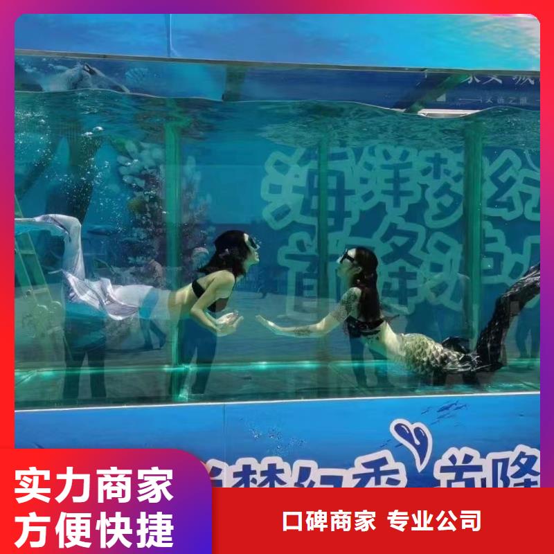 邯郸哪里有出租海狮表演的庆典活动